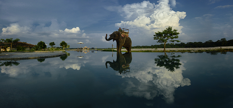 Chitwan National Park.jpg